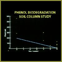 Phenolsoilcolumnresults3a